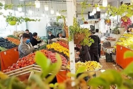 ورود میوه به کالابرگ از 15 اسفند