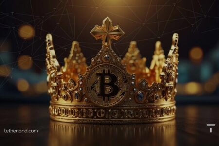 چه عواملی باعث نوسان پادشاه رمزارزها می شوند؟