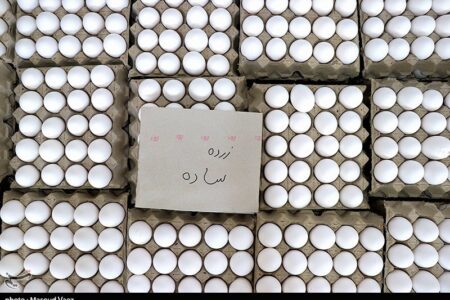 کاهش قیمت تخم مرغ در بازار