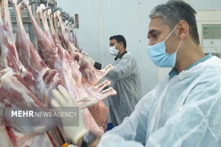 ۱۸ هزار و ۳۲۹ بازدید نظارتی توسط دامپزشکی استان زنجان انجام شده است