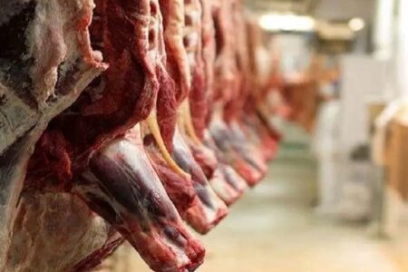 ترخیص گوشت در بنادر و استان‌های مرزی بدون مشکل