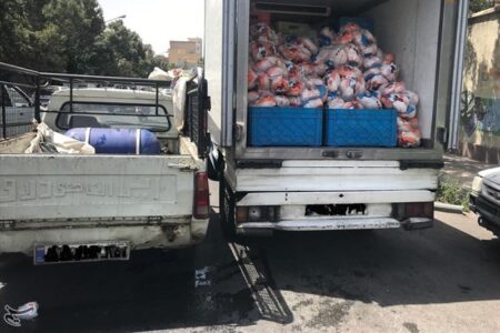 تسریع حمل نهاده‌های دامی از بنادر ضروری است