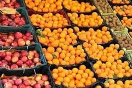 توزیع میوه عید از 20 اسفند آغاز می‌شود