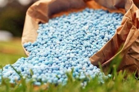 رشد 89 درصدی قیمت اوره / جهان در آستانه تورم مواد غذایی