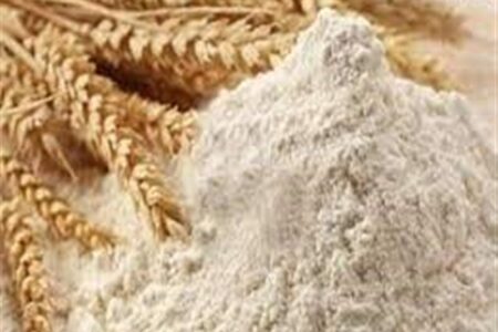 روزانه 2500 تن آرد در استان تهران توزیع می‌شود