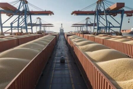 زنجیره تأمین غلات لحظه‌ای متوقف نمی‌شود