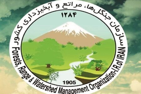 شهادت فرمانده یگان حفاظت منابع طبیعی کشور