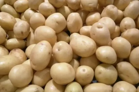 صادرات این محصول پرمصرف ممنوع شد