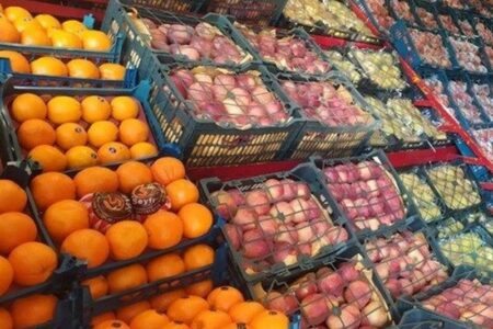 عدم توقف صادرات محصولات کشاورزی در شرایط جنگی