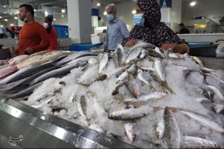 کمبودی در عرضه ماهی شب عید وجود ندارد