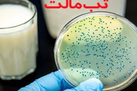ابتلا به تب مالت در کرمانشاه ۳۴ درصد کاهش یافت