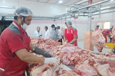 عوارض واردات گوشت و مرغ در سال جاری اعلام شد