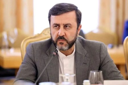 غریب آبادی در دیدار با نماینده صلیب سرخ: نمی‌توان برخی از دولت‌های همسایه را بی‌طرف محسوب کرد