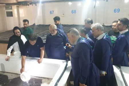 مدیرکل بازرسی بوشهر: فعالیت های آبزی پروری با تکیه بر دانش توسعه یابد