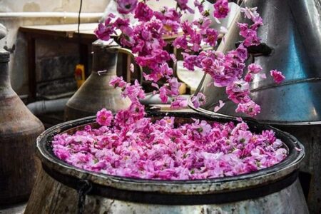 آغاز ششمین جشنواره ملی گلاب گیری و سوغات اقوام ایرانی در کرج