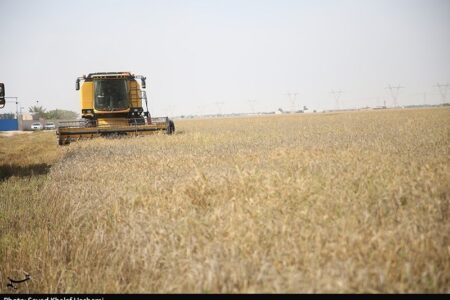 آمادگی 500 هزار میلیارد تومانی برای خرید تضمینی گندم در 1405