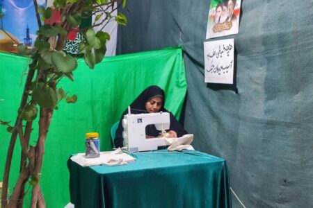 استقبال از پویش « نه به پلاستیک برای وطن» از دل موکب های مردمی بیرجند 