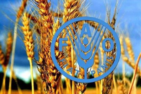 بدون تنوع زیستی، تولید غذا با خطر جدی مواجه است