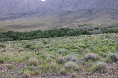 برخورد قانونی با تخریب‌کنندگان مرتع در شهرستان ماه‌نشان