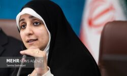 بهروز آذر: بیش از ۸۰ درصد مجوزهای مشاغل خانگی به زنان رسید