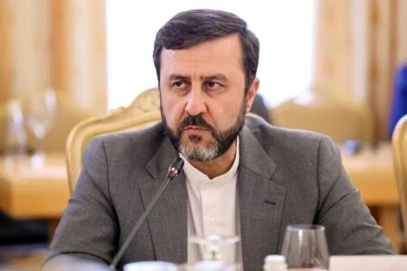 تصمیم ایرلند برای تصویب ممنوعیت واردات کالا از اسرائیل قابل تقدیر است
