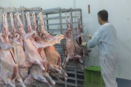 جنگ فعالیت دامپزشکی اصفهان را تعطیل نکرد؛کشف ۵۴تن محصول غیربهداشتی