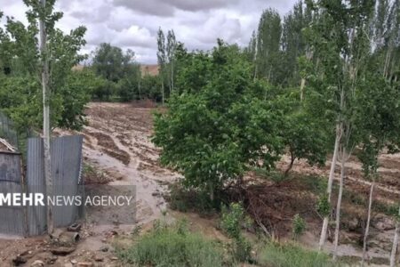 خسارت سیلاب به اراضی رودبار دامغان؛بیمه محصولات کشاورزی تنها راه جبران