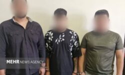 عاملان درگیری با سلاح سرد در رباط کریم دستگیر شدند