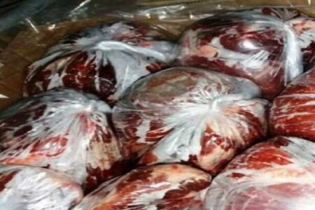محموله گوشت اسب در سنقروکلیایی معدوم شد