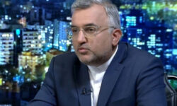 مشکلات تجاری ایران و هند مقطعی است و به زودی حل خواهد شد