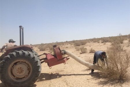 ملخ‌های بومی برای تولید خوراک طیور و آبزیان جارو می‌شوند