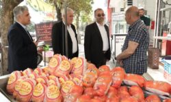 میزان تولید گوشت مرغ گرم در آذربایجان غربی از مرز ۳۰۰ تن عبور کرد
