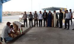 نظارت بهداشتی بر ذبح دام‌های قربانی در شهرستان دیر انجام شد