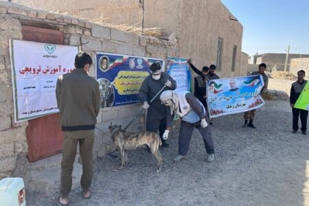 واکسیناسیون بیش از ۲هزار قلاده سگ علیه بیماری هاری در سیستان وبلوچستان