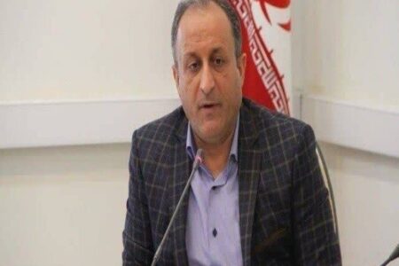 کشف ۶۸۳ پرونده تخلف اقتصادی در کردستان