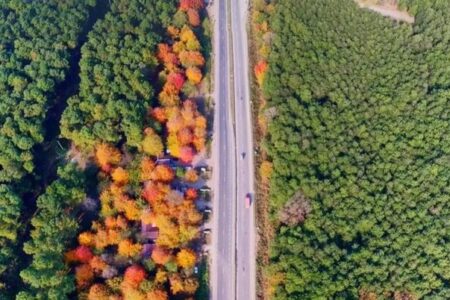 گیسوم تالش در انتظار ثبت جهانی است؛ رقابت با ۸ روستا