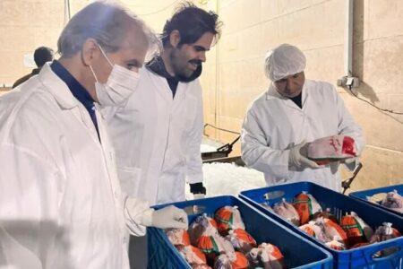 یارویسی: سلامت گوشت طیور خط قرمز دامپزشکی است